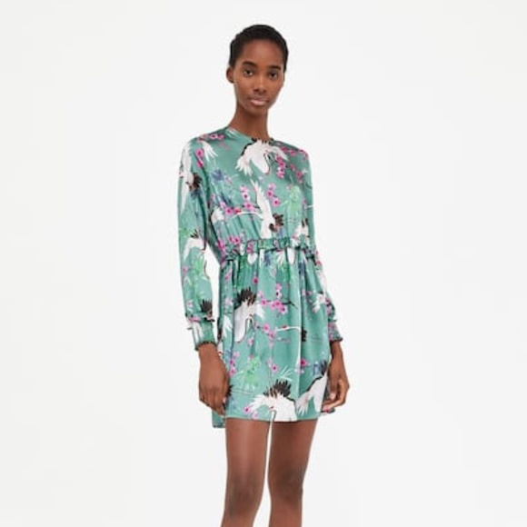 zara bird print dress